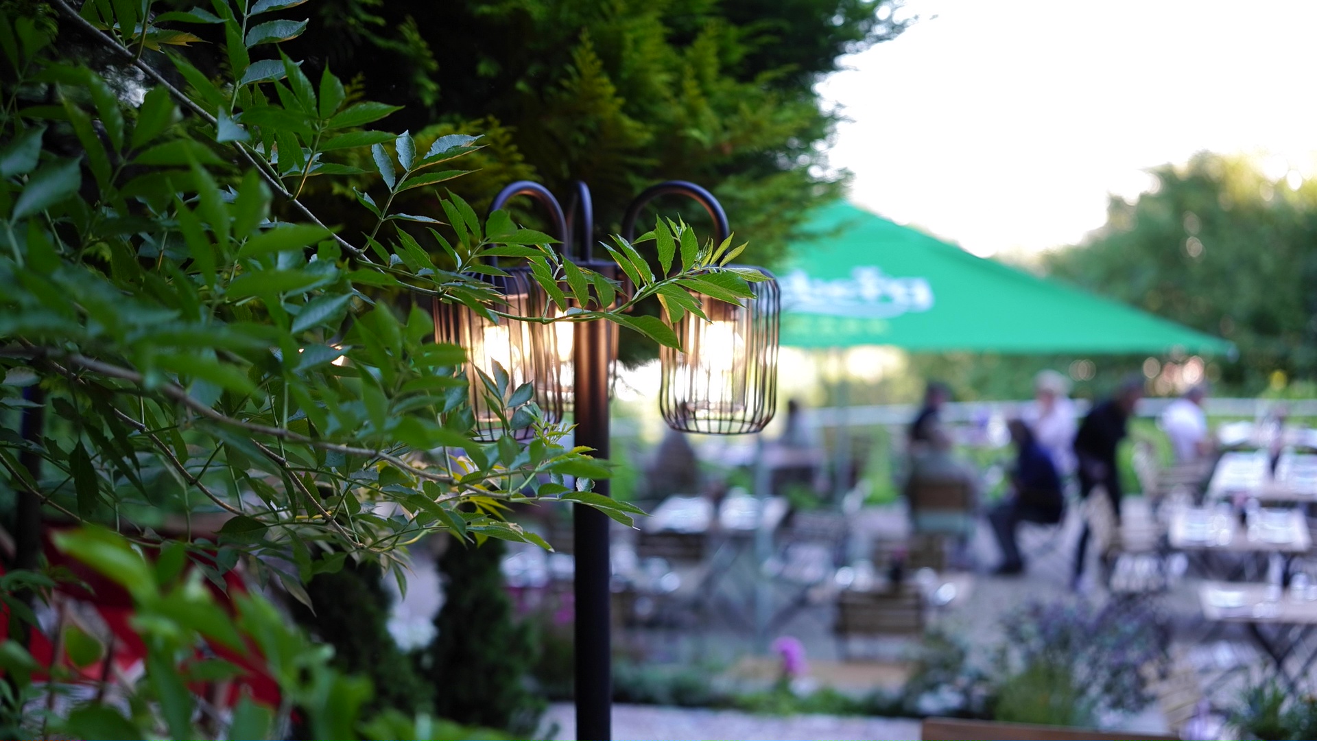 Terrasse mit grünen Pflanzen